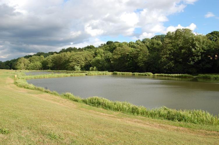 Barlow Country Club - Mill Farm Cottages درونفيلد المظهر الخارجي الصورة